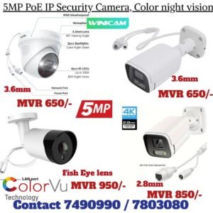 Winicam Poe Camera 5MP (Dome)