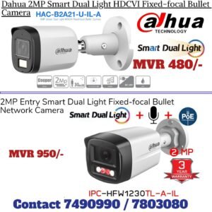 Dahua 2MP Smart Dual light Bullet Camera