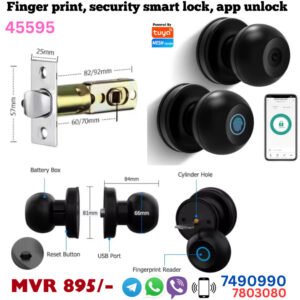 smart lock apollo type tuya app